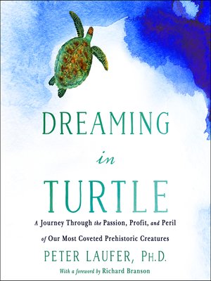 cover image of Dreaming in Turtle